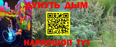 крисы Тулун