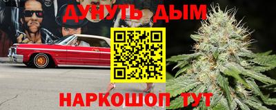 крисы Тулун