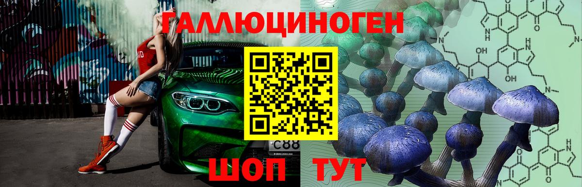 Истра  Псилоцибиновые грибы ЛСД  Вход с VPN 