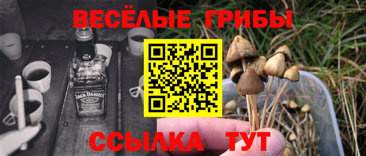 Галлюциногенные грибы мухоморы Истра
